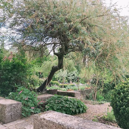 Wohlfuehl-loft-in-der-natur-blaustein-ulm アパート ブラウシュタイン